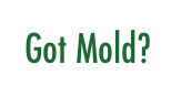 Got Mold?